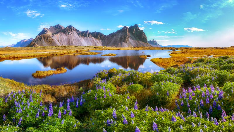 beautiful landscape with marsh in front of the mountains