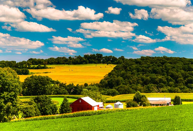 rustic farm buildings on rolling hills