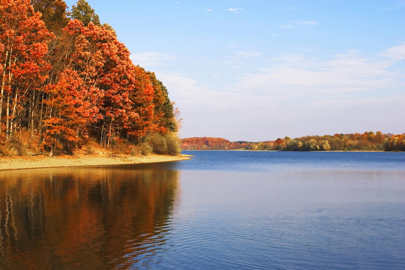 trees with fall leaves next to the lake